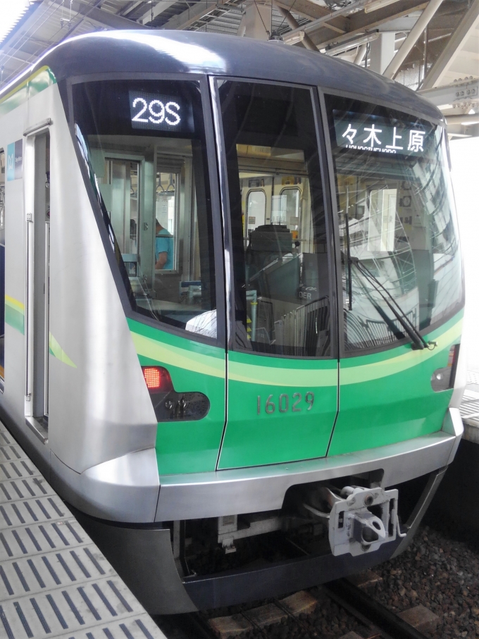鉄道乗車記録の写真:乗車した列車(外観)(1)        「乗車した列車。
東京メトロ16000系16129編成。」