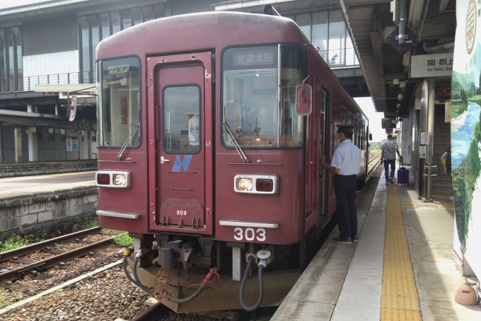 鉄道乗車記録の写真:乗車した列車(外観)(1)        「乗車した列車。 
長良川鉄道ナガラ300形303号車。」