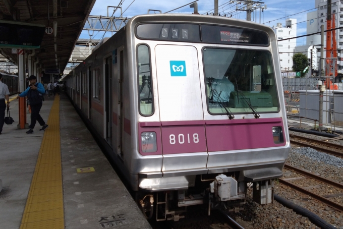 鉄道乗車記録の写真:乗車した列車(外観)(1)        「乗車した列車。
東京メトロ8000系8118編成。」