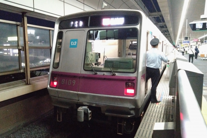 鉄道乗車記録の写真:乗車した列車(外観)(1)          「乗車した列車。
東京メトロ8000系8109編成。」