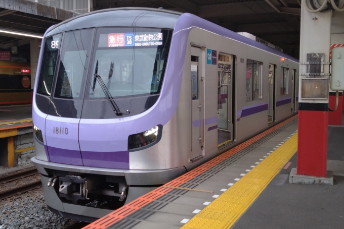鉄道乗車記録の写真:乗車した列車(外観)(1)        「乗車した列車。
東京メトロ18000系18110編成。」