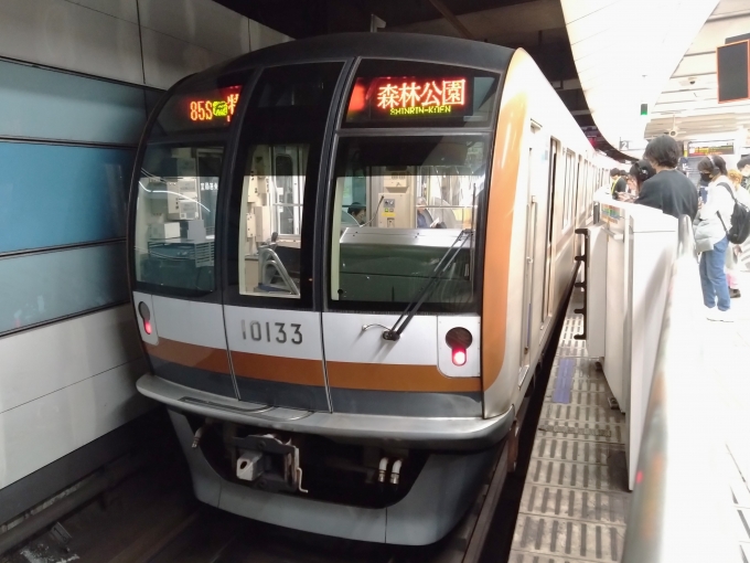 鉄道乗車記録の写真:乗車した列車(外観)(1)          「乗車した列車。
東京メトロ10000系10133編成。」