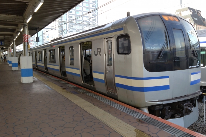 鉄道乗車記録の写真:乗車した列車(外観)(1)        「乗車した列車。
E217系Y-42編成。」