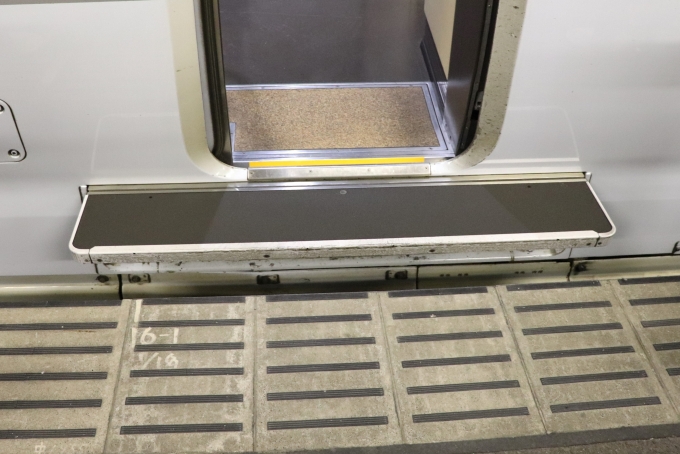 鉄道乗車記録の写真:列車・車両の様子(未乗車)(6)        「乗降ドア下にはステップがあります。」