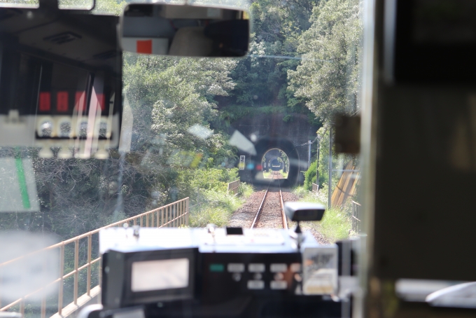 鉄道乗車記録の写真:車窓・風景(4)        「前面展望はしにくいです。」