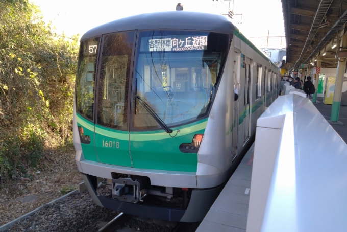 鉄道乗車記録の写真:乗車した列車(外観)(1)        「乗車した列車。
東京メトロ16000系16118編成。」