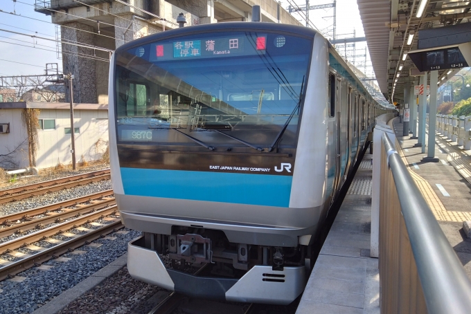 鉄道乗車記録の写真:乗車した列車(外観)(1)        「乗車した列車。
E233系1000番台サイ133編成。」