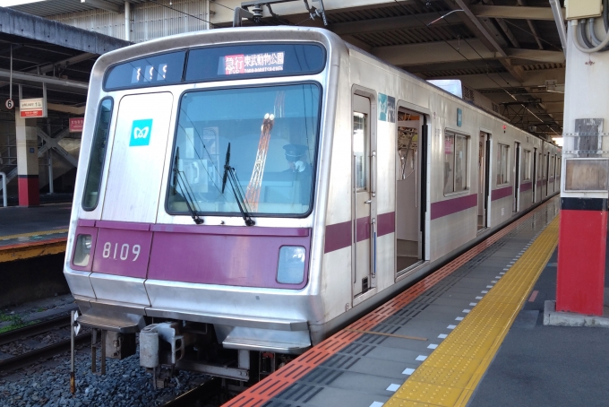 鉄道乗車記録の写真:乗車した列車(外観)(1)        「乗車した列車。
東京メトロ8000系8109編成。」