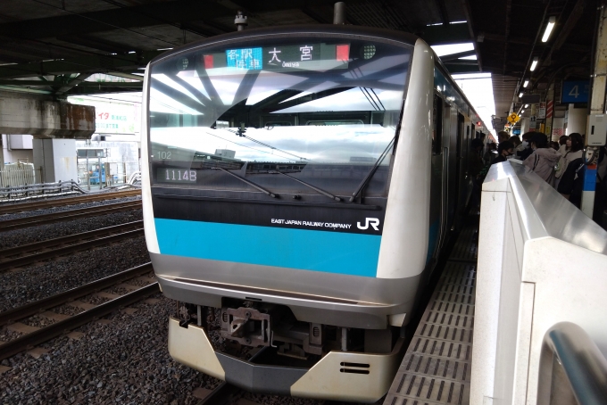 鉄道乗車記録の写真:乗車した列車(外観)(1)        「乗車した列車。
E233系1000番台サイ102編成。」