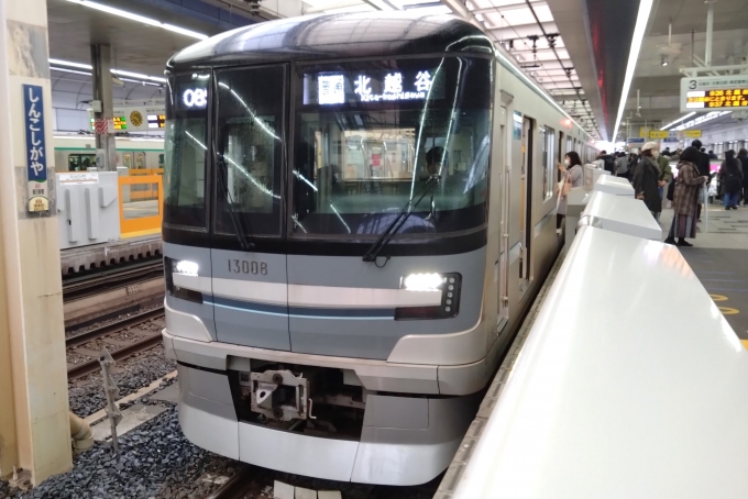 鉄道乗車記録の写真:乗車した列車(外観)(1)        「乗車した列車。
東京メトロ13000系13108編成。」