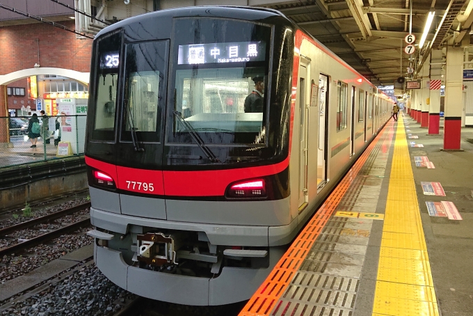 鉄道乗車記録の写真:乗車した列車(外観)(1)        「乗車した列車。
東武70090系71795編成。」