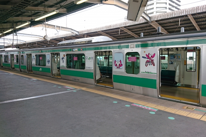鉄道乗車記録の写真:列車・車両の様子(未乗車)(2)        「TOKYO2020ラッピング。」