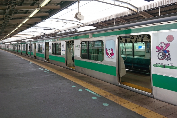 鉄道乗車記録の写真:列車・車両の様子(未乗車)(3)        「TOKYO2020ラッピング。」