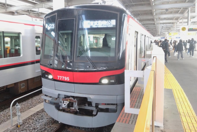 鉄道乗車記録の写真:乗車した列車(外観)(1)        「乗車した列車。
東武70090系71795編成。」