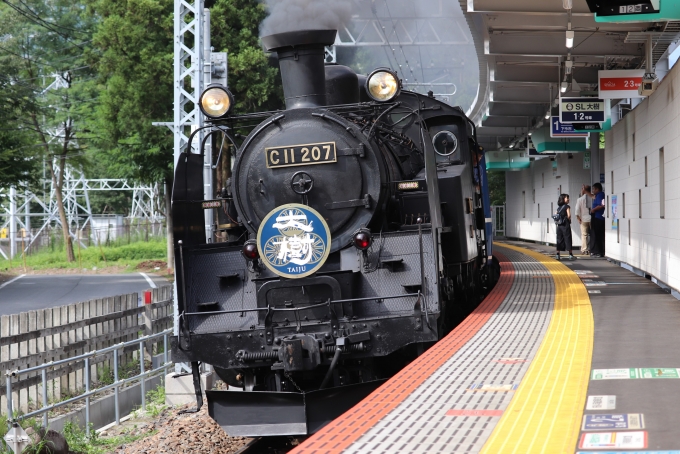 鉄道乗車記録の写真:列車・車両の様子(未乗車)(1)          「C11形207号機牽引SL大樹に乗車。」