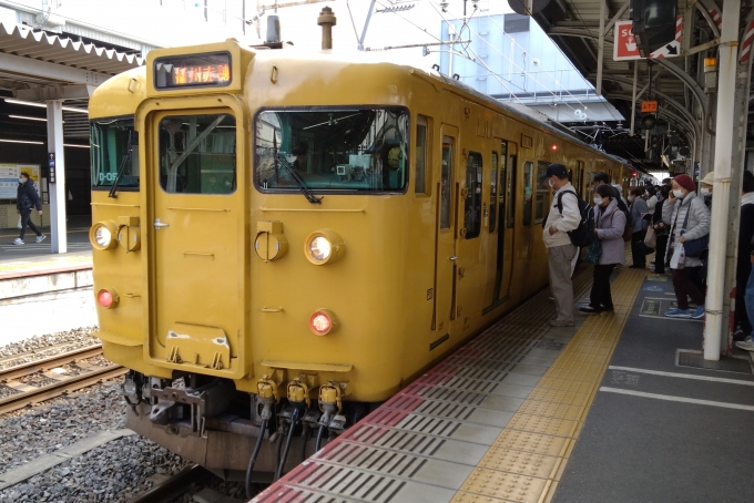 鉄道乗車記録の写真:乗車した列車(外観)(1)        「乗車した列車。
115系1000番台D-09編成。」