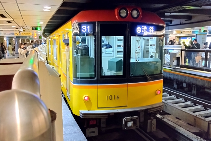 鉄道乗車記録の写真:乗車した列車(外観)(1)        「乗車した列車。
東京メトロ1000系1116編成。
」
