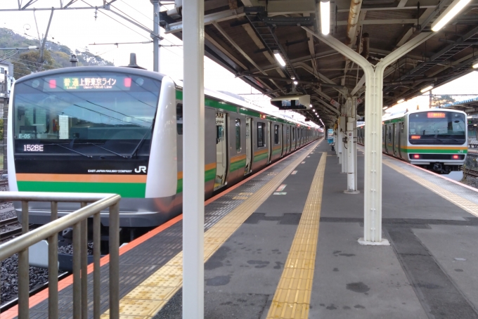 鉄道乗車記録の写真:列車・車両の様子(未乗車)(3)        「早朝の時間は湘南新宿ラインと上野東京ラインの接続が見られます。」