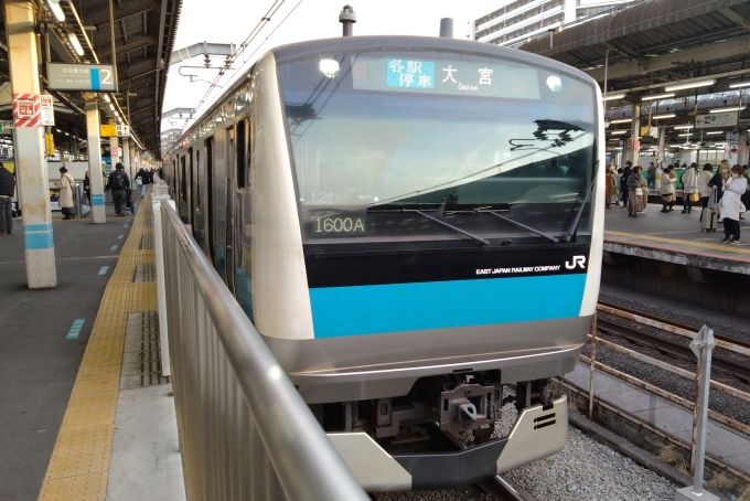 鉄道乗車記録の写真:乗車した列車(外観)(1)        「乗車した列車。
E233系1000番台サイ121編成。」