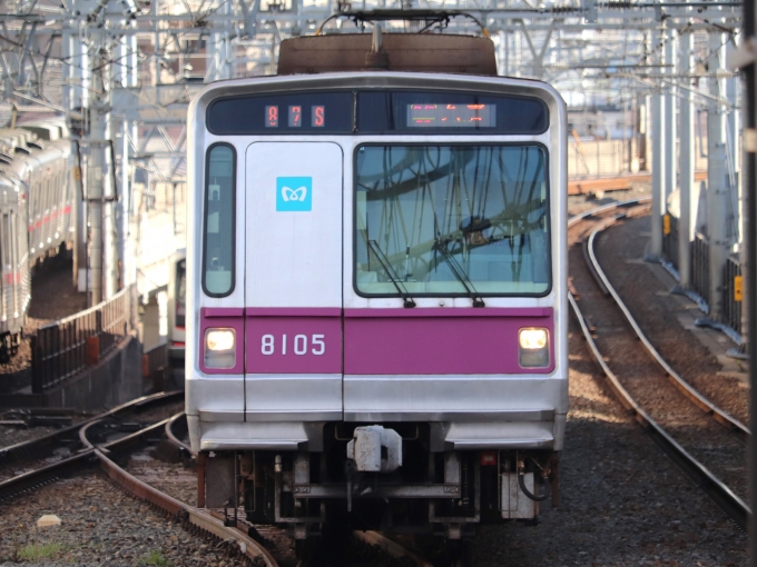 鉄道乗車記録の写真:乗車した列車(外観)(1)        「乗車した列車。
東京メトロ8000系8105編成。」