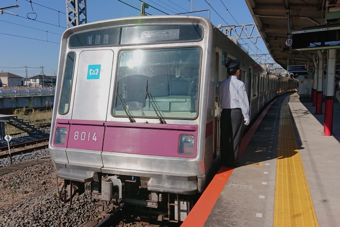 鉄道乗車記録の写真:乗車した列車(外観)(1)        「乗車した列車。
東京メトロ8000系8114編成。」