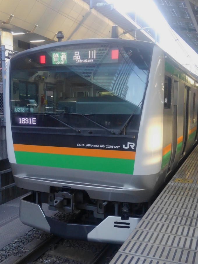 鉄道乗車記録の写真:乗車した列車(外観)(1)        「乗車した列車。
E233系3000番台U218編成。」