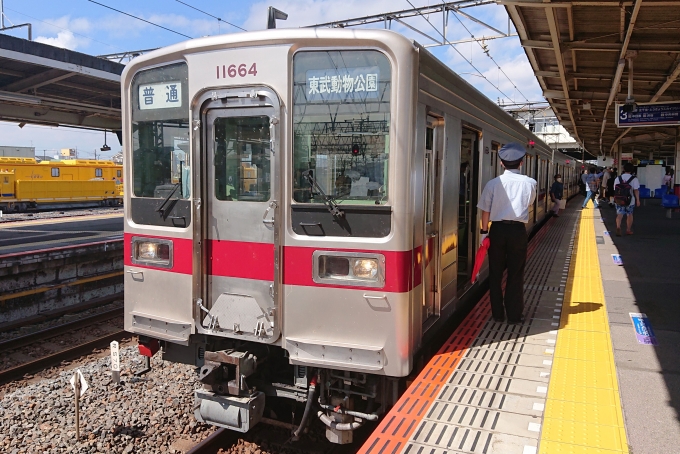 鉄道乗車記録の写真:乗車した列車(外観)(1)        「乗車した列車。
東武10050系11664編成。」