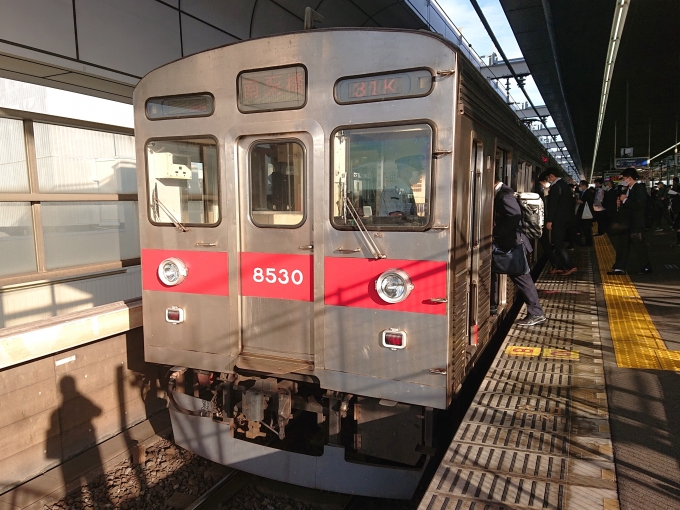 鉄道乗車記録の写真:乗車した列車(外観)(1)          「乗車した列車。
東急8500系8630編成。」