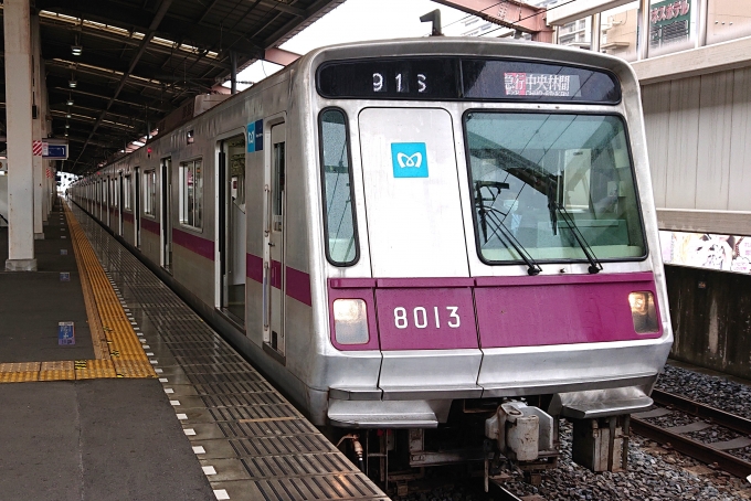 鉄道乗車記録の写真:乗車した列車(外観)(1)        「乗車した列車。
東京メトロ8000系8113編成。」