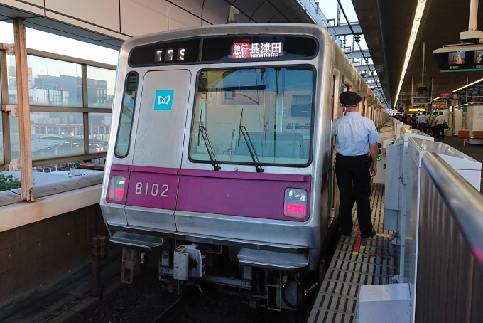 鉄道乗車記録の写真:乗車した列車(外観)(1)        「乗車した列車。
東京メトロ8000系8102編成。」