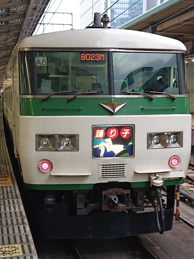 鉄道乗車記録の写真:乗車した列車(外観)(1)        「乗車した列車。
185系A6編成。」