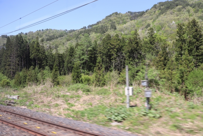 鉄道乗車記録の写真:車窓・風景(8)        「板谷峠付近では森林の中を走ります。」