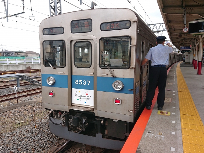 鉄道乗車記録の写真:乗車した列車(外観)(1)          「乗車した列車。
東急8500系8637編成。」
