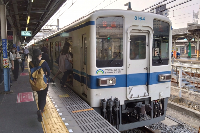 鉄道乗車記録の写真:乗車した列車(外観)(1)        「乗車した列車。
東武8000系8164編成。」