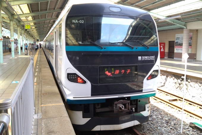鉄道乗車記録の写真:乗車した列車(外観)(11)        「伊豆急行線を完乗しました。」