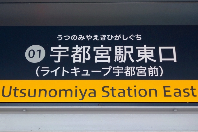 鉄道乗車記録の写真:駅名看板(3)        「駅名標。」