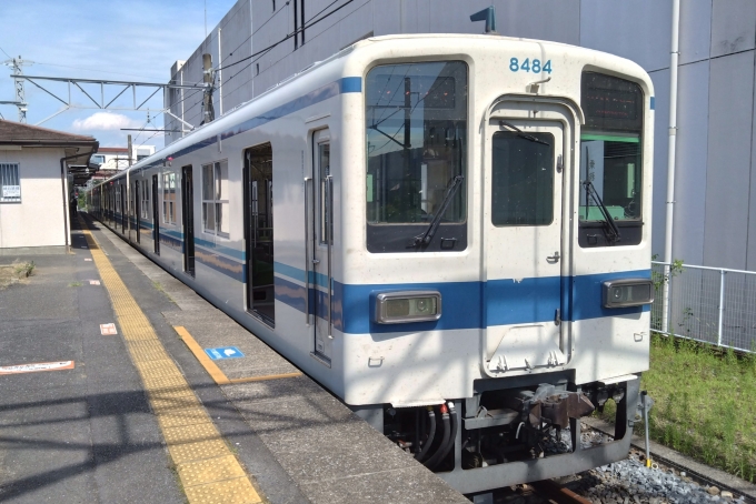 鉄道乗車記録の写真:乗車した列車(外観)(1)          「乗車した列車。
東武8000系8184編成。」