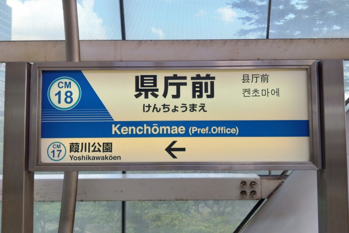 鉄道乗車記録の写真:駅名看板(4)        「駅名標。」