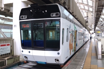 県庁前駅から市役所前駅の乗車記録(乗りつぶし)写真