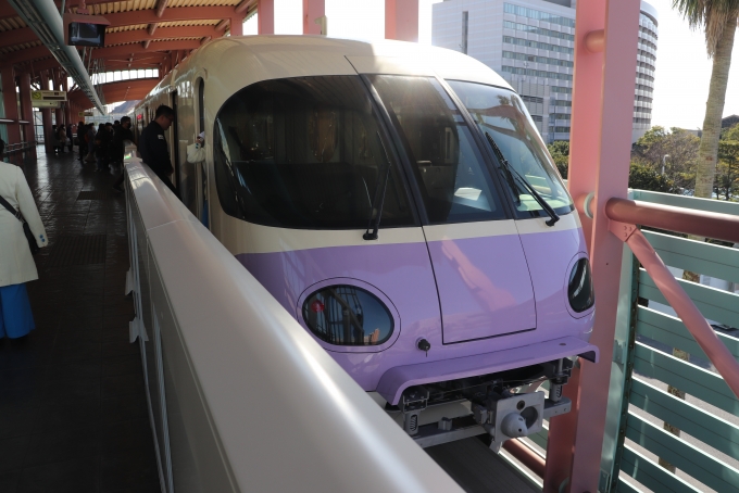 鉄道乗車記録の写真:乗車した列車(外観)(1)          「乗車した列車。
舞浜リゾートライン10形第3編成。
途中駅にて撮影。」