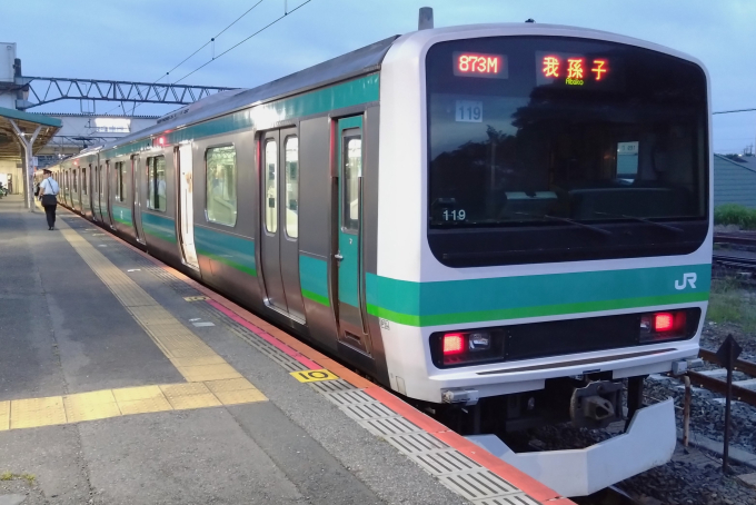 E231系 119編成 (松戸車両センター) 徹底ガイド | レイルラボ(RailLab)