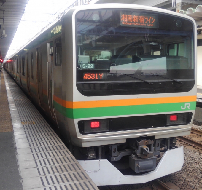 鉄道乗車記録の写真:乗車した列車(外観)(2)        「上野東京ライン開業後は宇都宮-横須賀系統の湘南新宿ライン運用に横コツ車も入るようになった。」