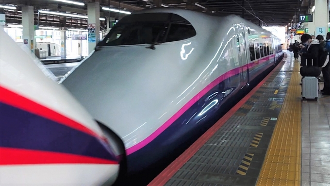 鉄道乗車記録の写真:乗車した列車(外観)(1)        「乗車した列車。
E2系1000番台J62編成。」
