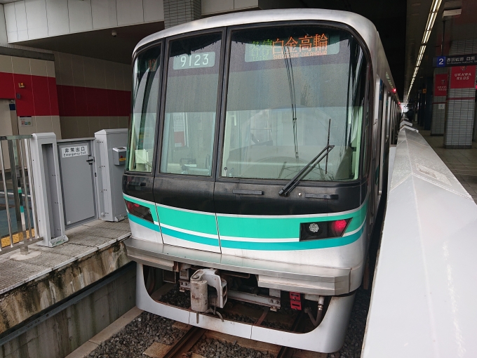 鉄道乗車記録の写真:乗車した列車(外観)(1)        「乗車した列車。
東京メトロ9000系9123編成。」