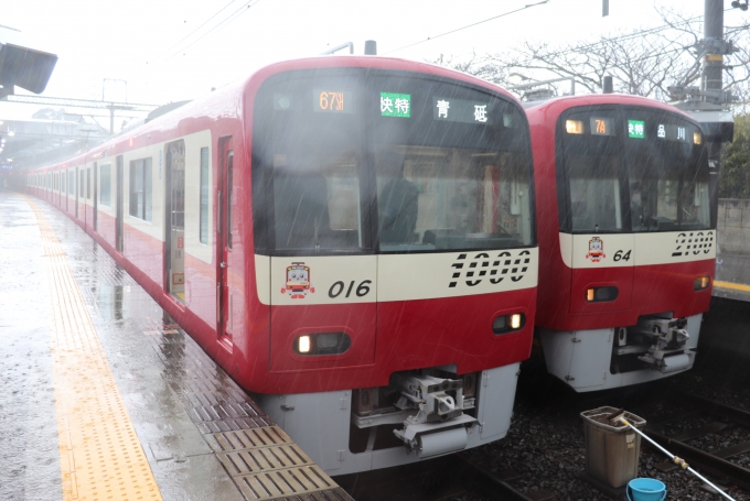 鉄道乗車記録の写真:乗車した列車(外観)(1)        「乗車した列車。
京急新1000形1009編成。」