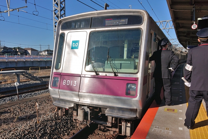 鉄道乗車記録の写真:乗車した列車(外観)(1)        「乗車した列車。
東京メトロ8000系8113編成。」