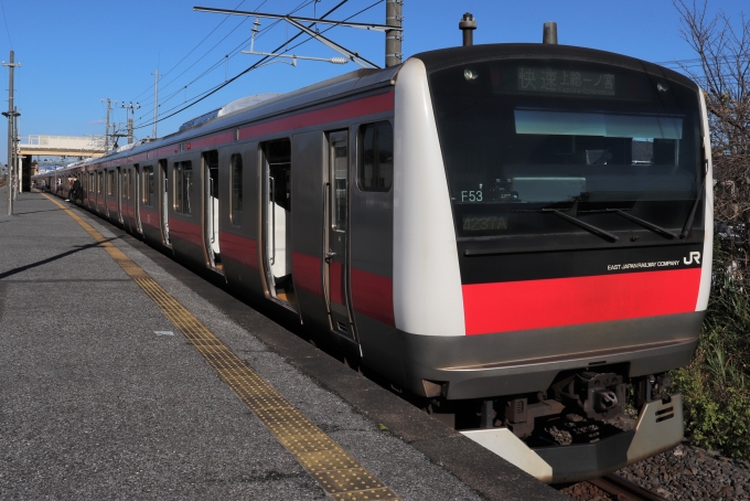 鉄道乗車記録の写真:乗車した列車(外観)(1)        「乗車した列車。
E233系5000番台F53編成。」