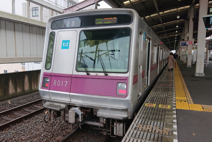 鉄道乗車記録の写真:乗車した列車(外観)(1)        「乗車した列車。
東京メトロ8000系8117編成。」