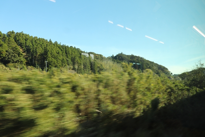 鉄道乗車記録の写真:車窓・風景(2)        「外房線内は山の中の区間が多めです。」