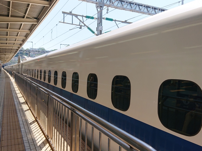 鉄道乗車記録の写真:乗車した列車(外観)(5)        「小田原駅はややカーブ構図になっています。」